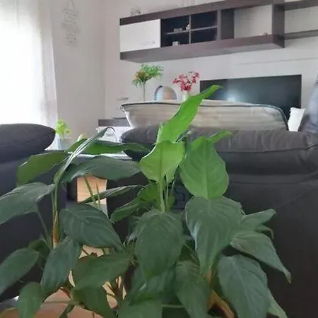 Spalato - Three Bedroom With Terrace Apartment