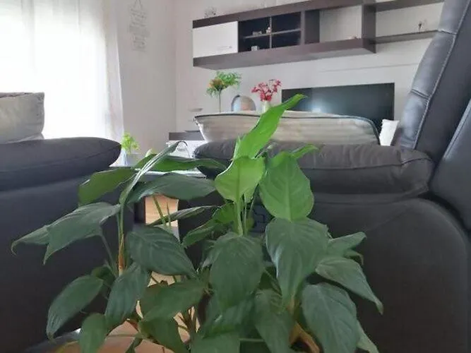 Spalato - Three Bedroom With Terrace Апартаменты